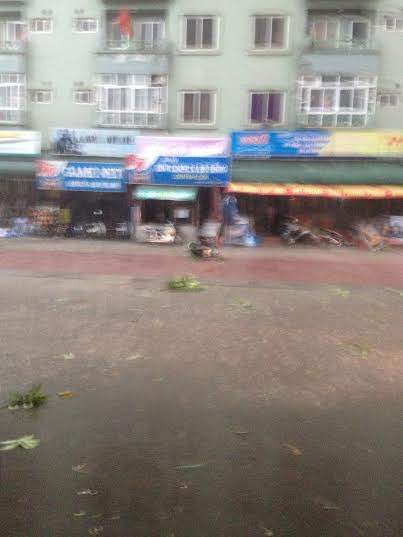 [-]Hà[-]Nội:[-]Mưa[-]lớn[-]khiến[-]cây[-]cối[-]bật[-]gốc,[-]nước[-]ngập[-]đường